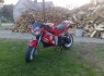 gilera dna