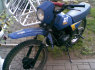YAMAHA DT
