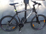 Giant terrago L dydis