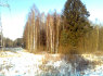 Perku mišką - brandų, bręstantį, jauną, malkinį, apleistą žemę, krumynus