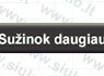 Šiltinimo darbai apšiltinimas pastogių stogų sienų pamatų (5)