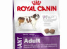 ROYAL CANIN (5)