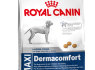 ROYAL CANIN (8)