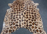 Zebro, jaguaro rašto kilimai (2)