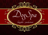 Profesionali kirpykla Vilniuje Dog Spa