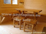 irenginejame saunas (5)