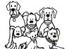 Barking Heads Quacker Grain Free 12kg (3)