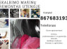 skalbimo masinu remontas utenoje 867683193