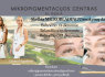 Microblading mokymai Kaune