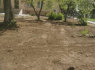 Bobcat nuoma su operatoriumi (3)