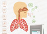 Differential pressure detection technology, with professional lung function software