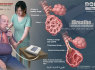 Differential pressure detection technology, with professional lung function software (4)