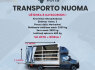 Alytus Keleivinių 9vietų ir krovininių MIKROAUTOBUSŲ NUOMA (3)