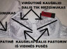 Kvėpuojanti liemenėlė D kaušelis (2)