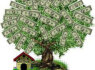 Quick Loans Financing