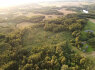 PARDUODAMAS VIENKIEMIS MIŠKO APSUPTYJE, ROKIŠKIO R. SAV, KRIAUNŲ SEN, RUKELIŲ K (2)