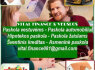 Privataus skolinimo pasiūlymas pasirašant paprastąjį vekselį