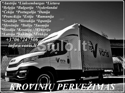 Express freight transportation 37067247506