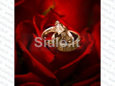 Ieškau sąžiningos merginos