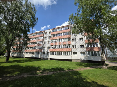 2 kambarių butas Rukloje renovuotame name